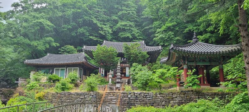 한국의 알프스 '소백산 천상의 화원 연화선경'에서 연달래에 빠지다 ...